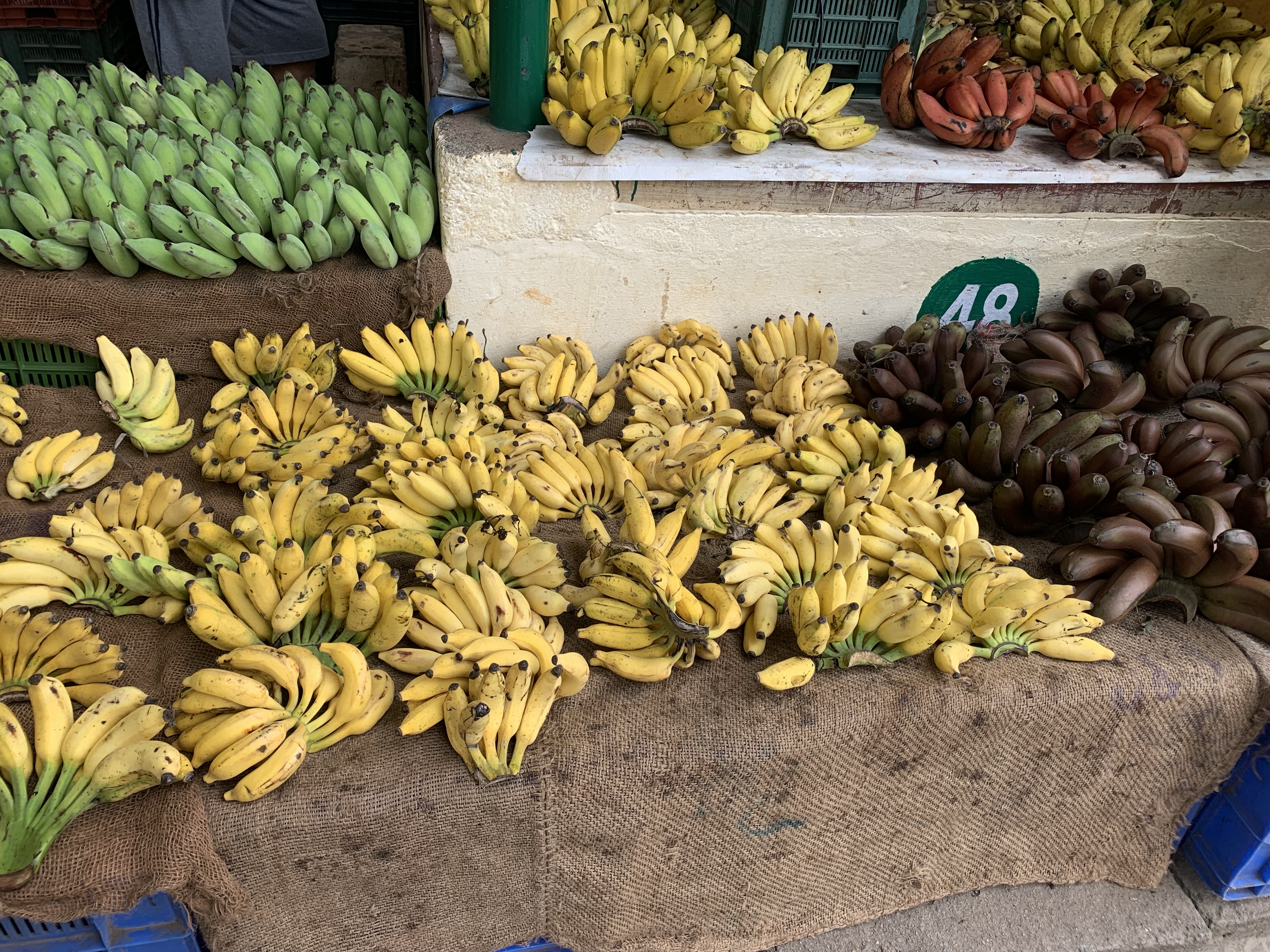 Banana