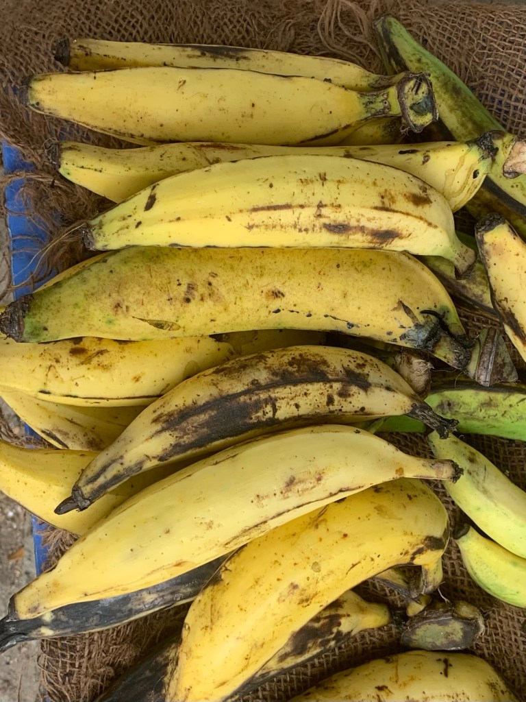 Banana - Nendran