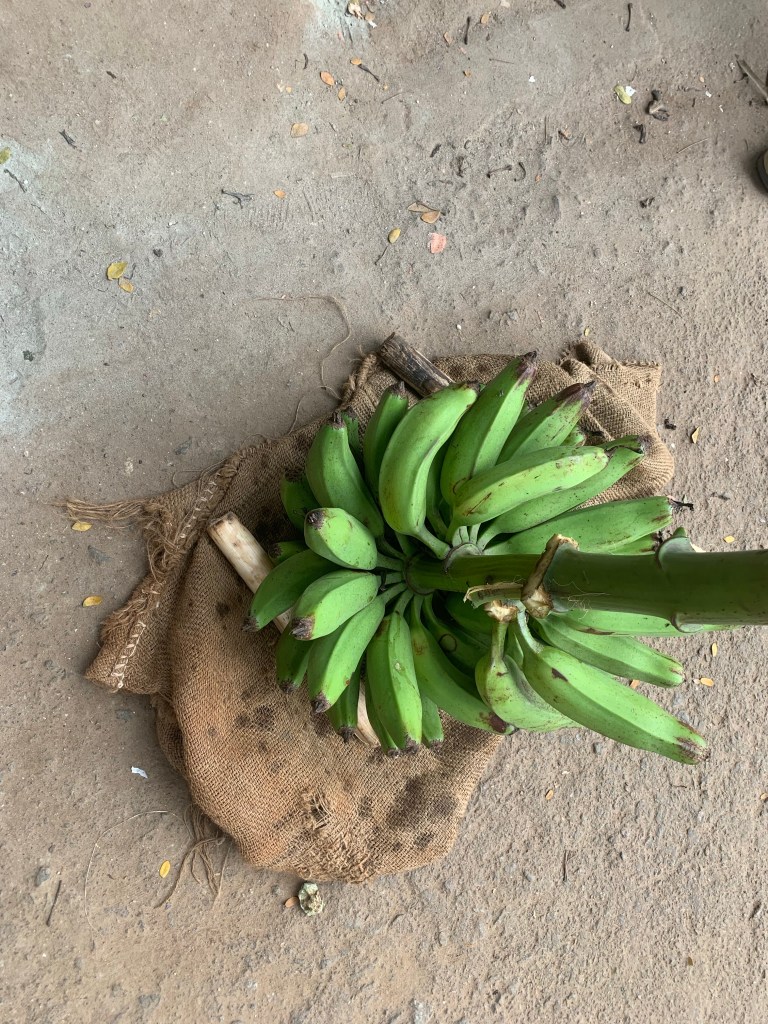 Raw Banana