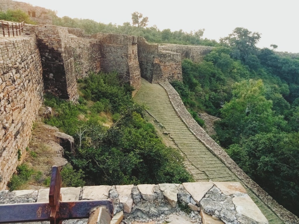 Chanderi Fort Door - Massive 