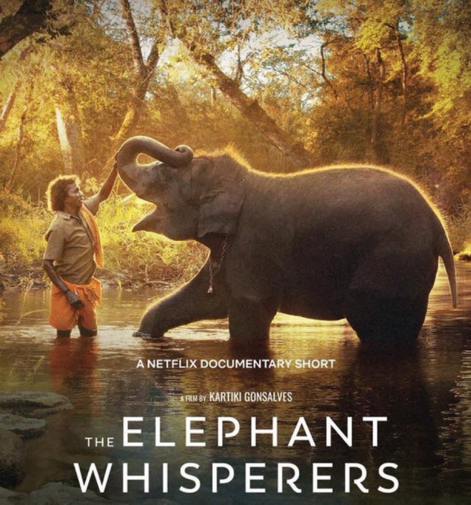 Oscar Elephant Whisperer