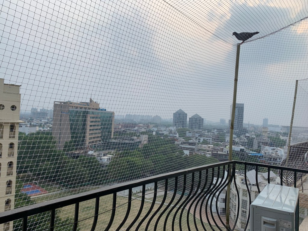 Pigeon Net