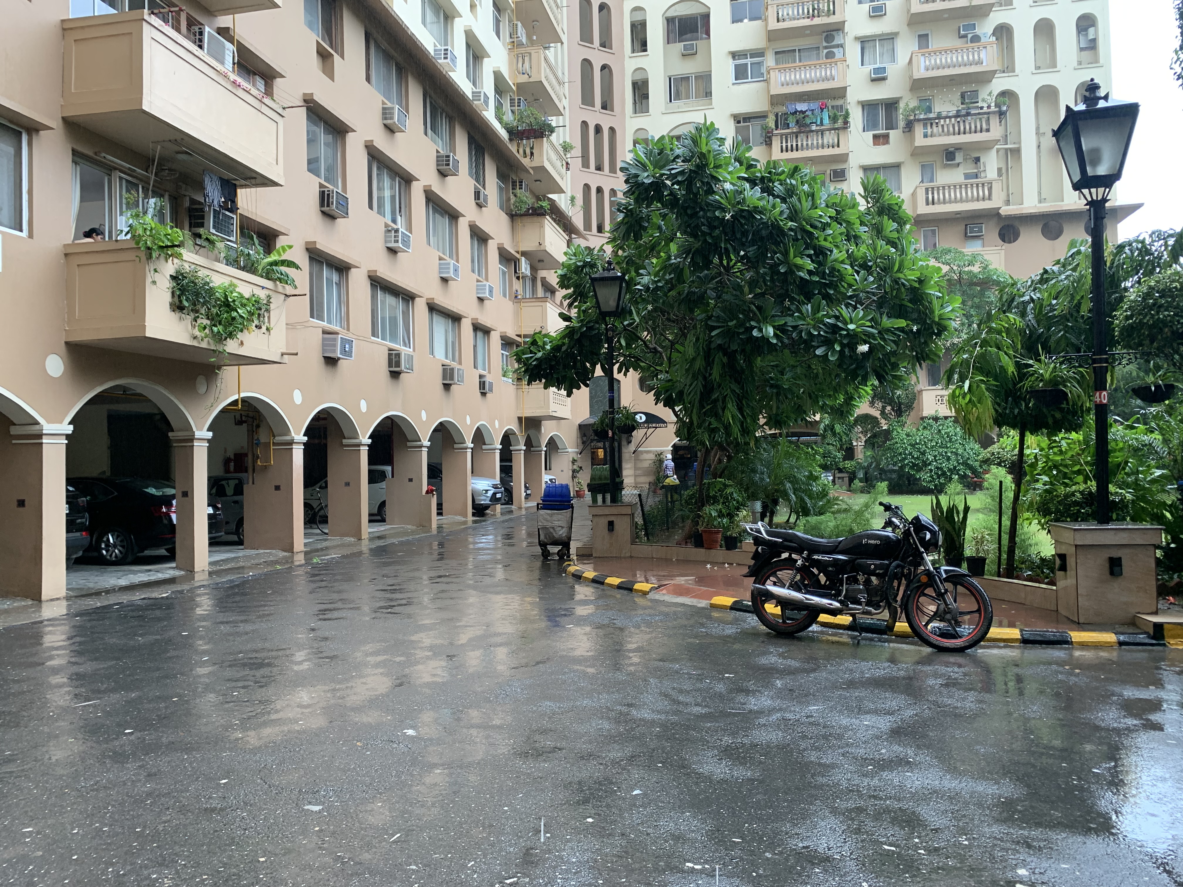Walking in the rains