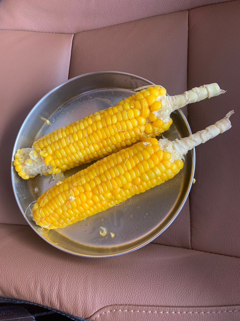 Corn on Cob Wipers, Lucknow