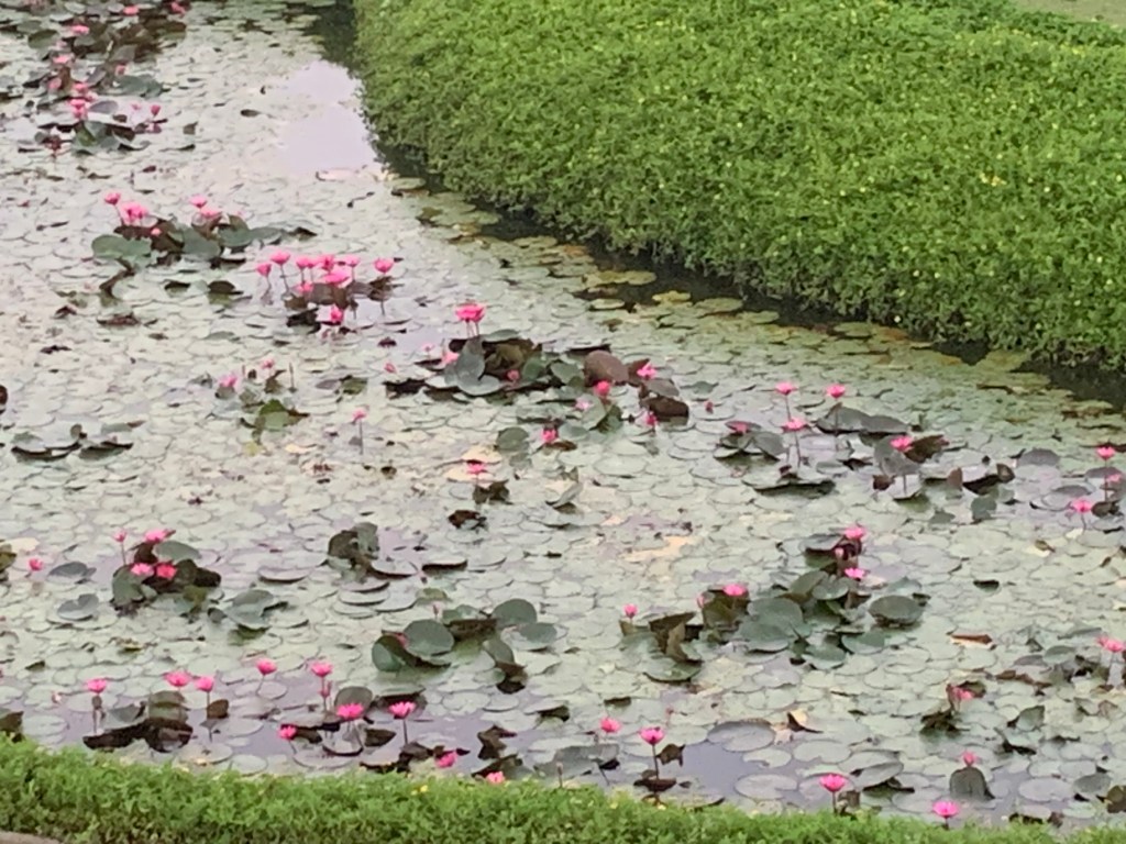 Club Mahindra Ahmedabad