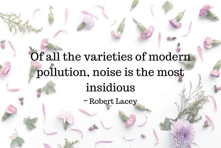 Noise Pollution