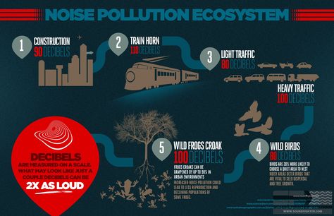 Noise Pollution