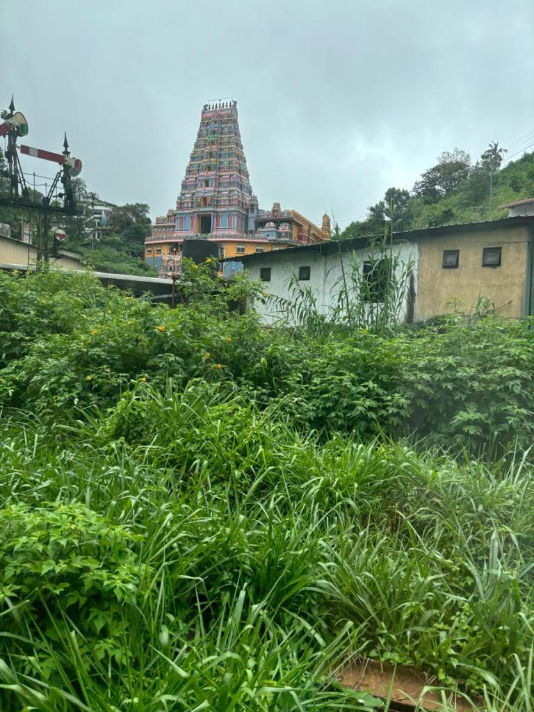 Nuwara Eliya Train