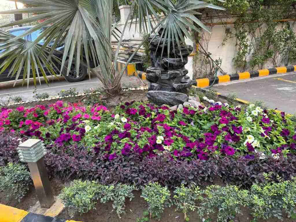 Spring flowers