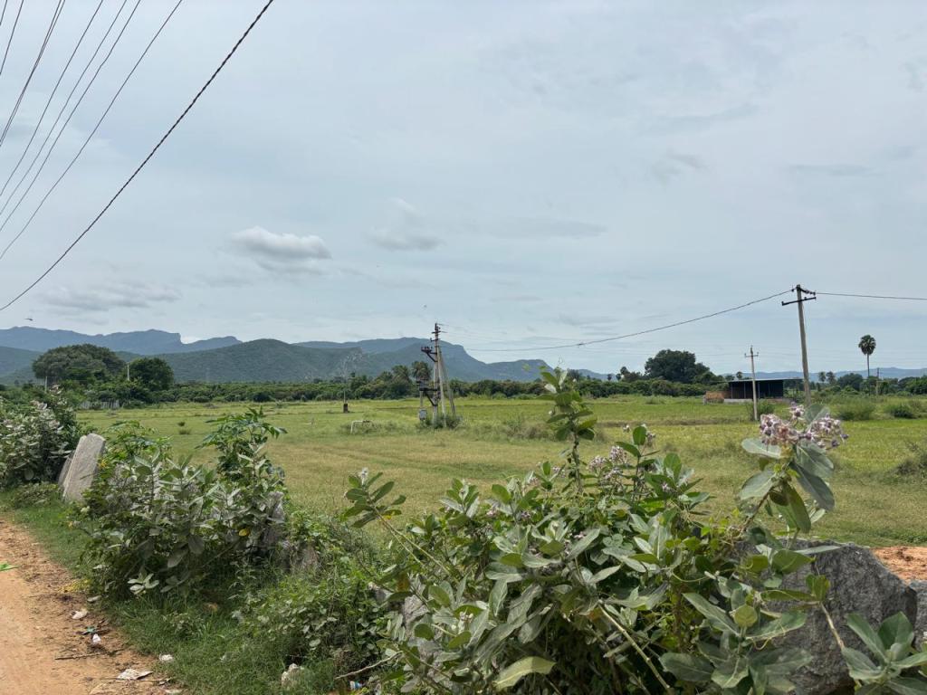 Scenery Gudimallam