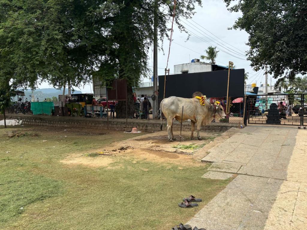 Nandi, Gudimallam