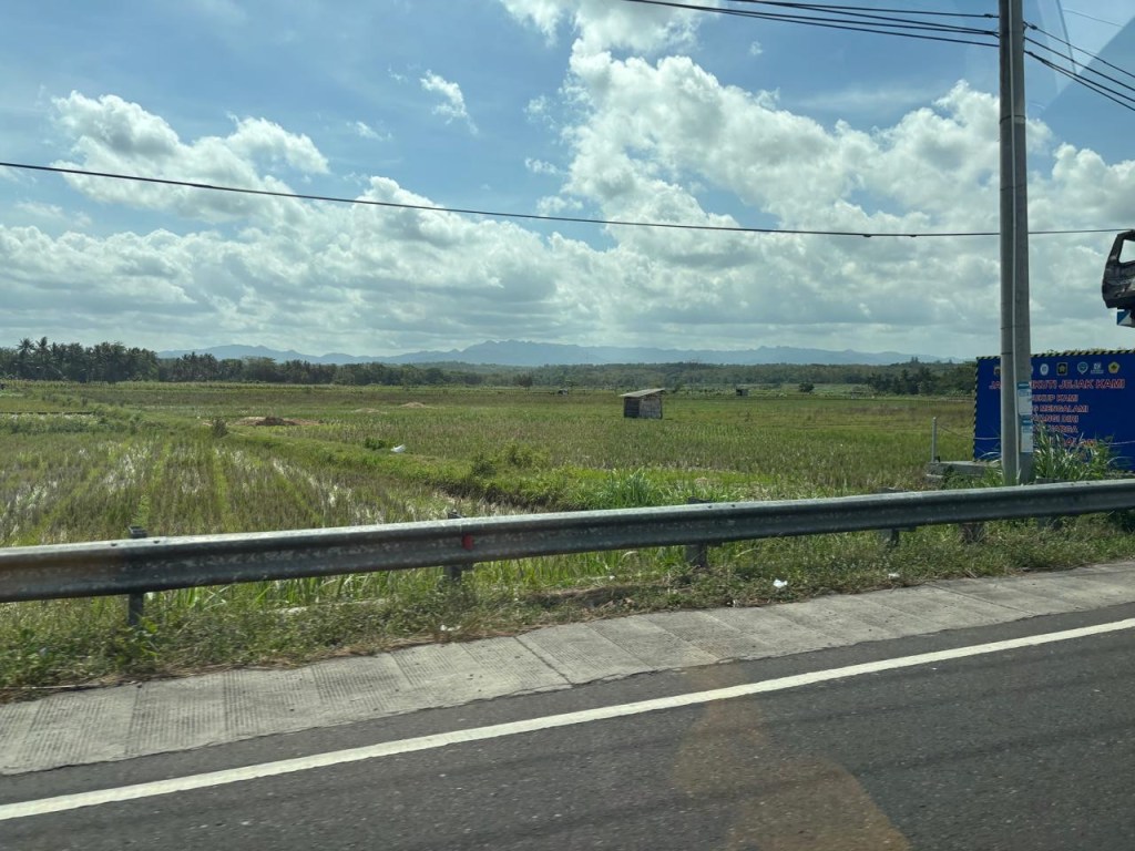 Rolling fields Yogyakarta