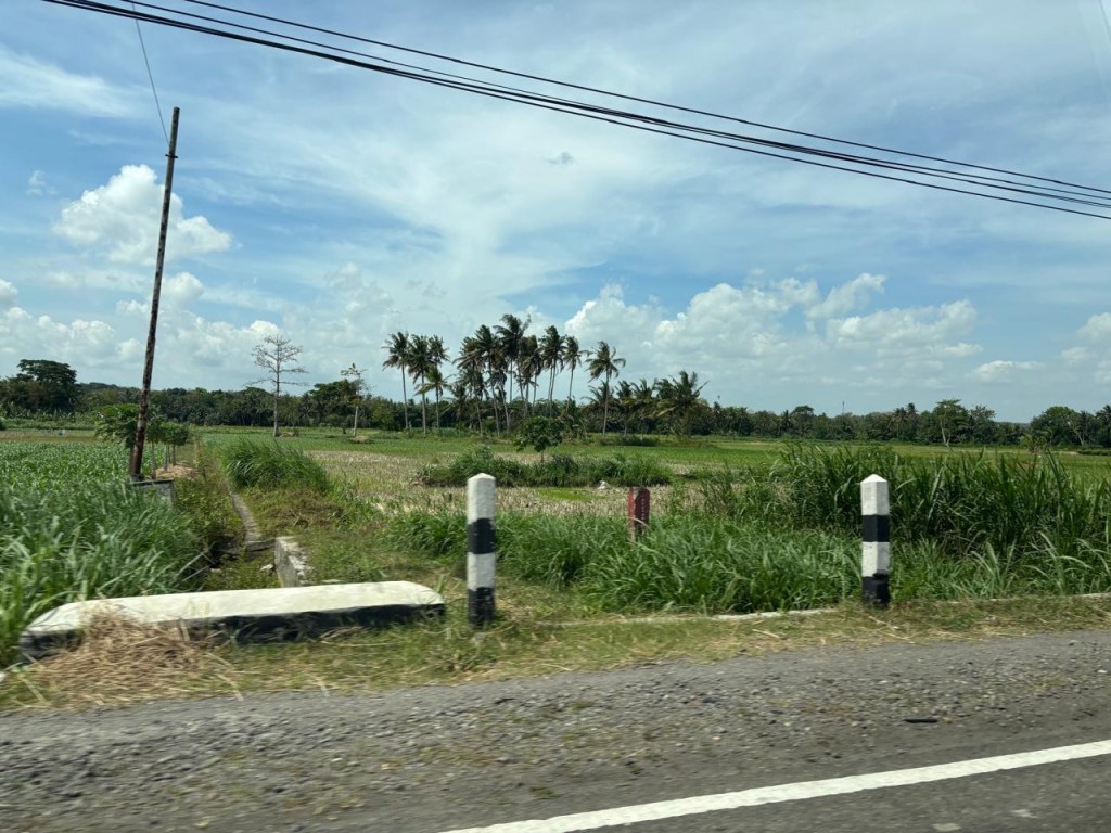 Rolling fields Yogyakarta