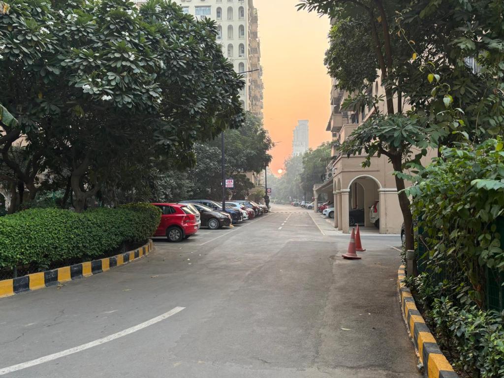 Winter Delhi